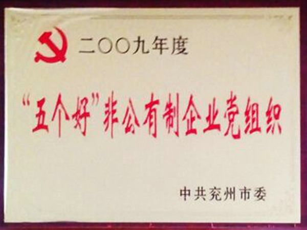 “五個(gè)好”非公有制企業(yè)黨組織.jpg
